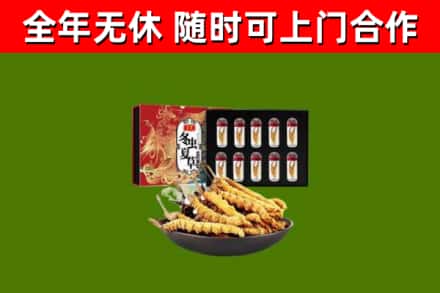 新邱回收冬虫夏草价格